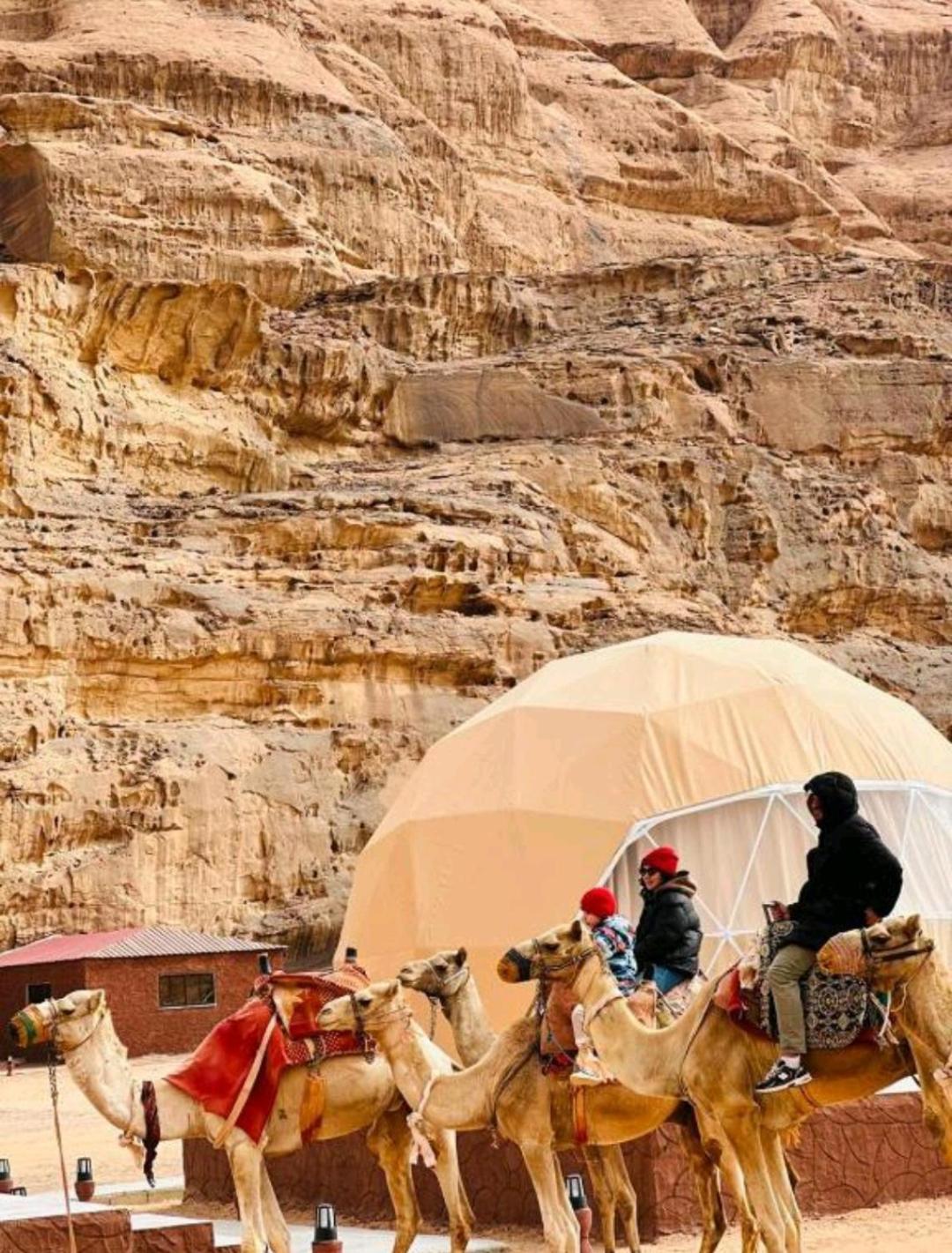Wadi Hi Camp Luxury tent