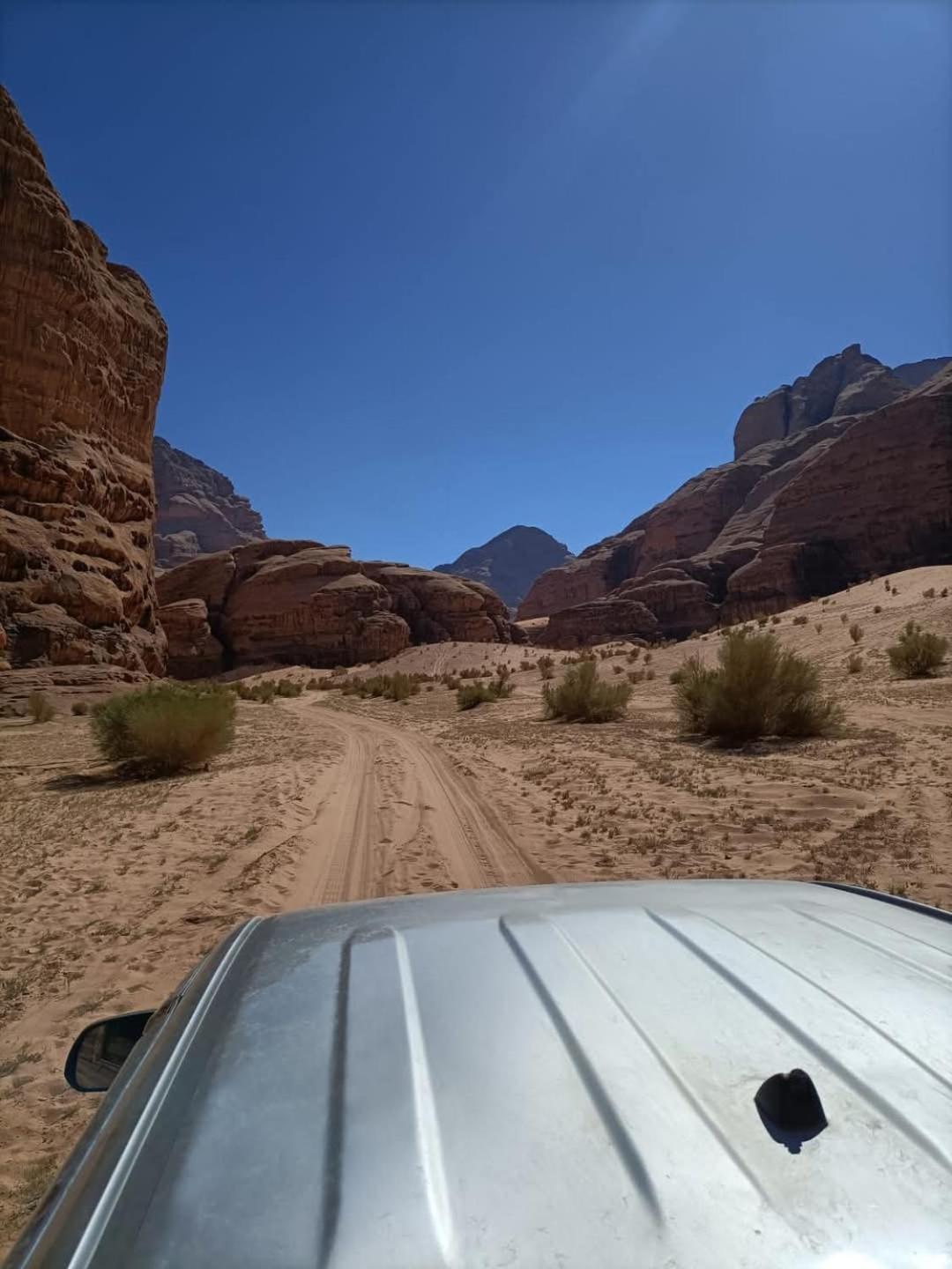 Luxury tent Wadi Hi Camp *