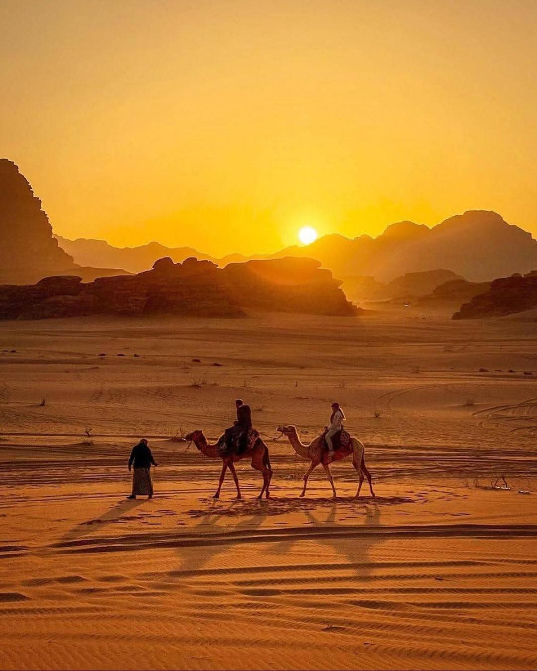 Wadi Hi Camp Luxury tent