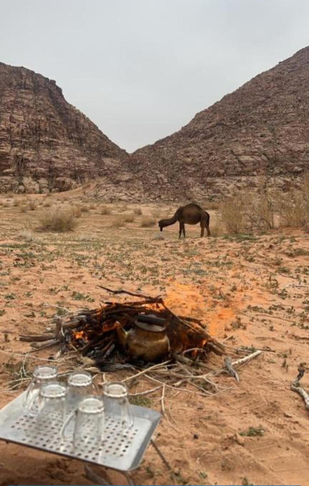 Wadi Hi Camp * Wadi Rum